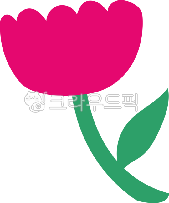 꽃,튤립,식물,꽃잎,줄기,나뭇잎,카네이션,생일,졸업,입학