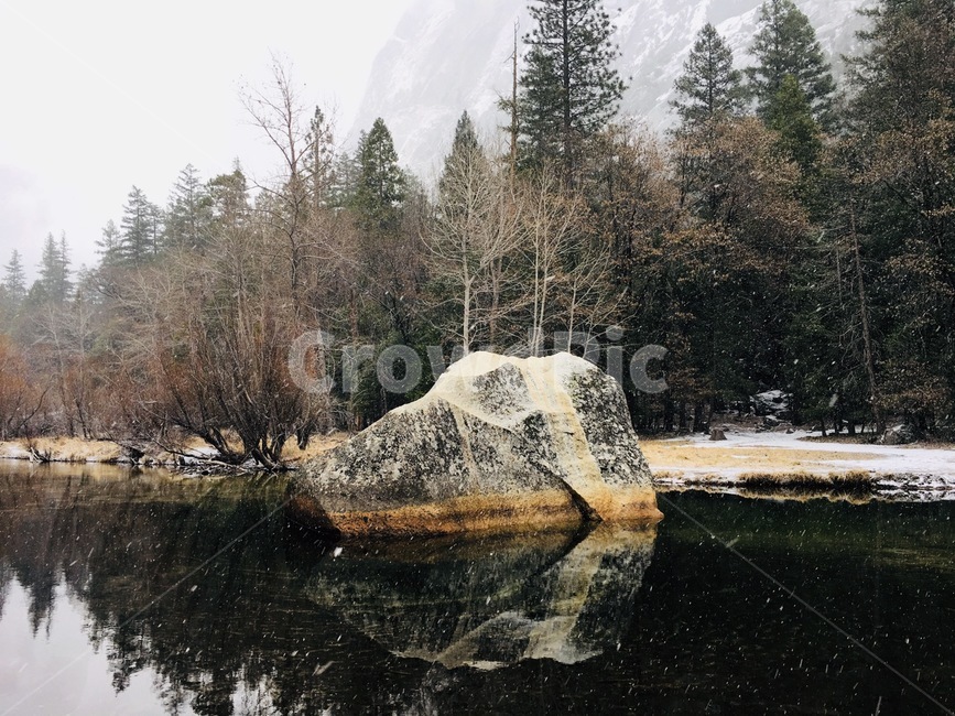 미국,샌프란시스코,산,나무,mountain,호수,겨울,winter,바위,rocks,자연,풍경,nature,landscape,해외,외국,세계,foreign,oversea,world,세계자연풍경,해외자연풍경,외국자연풍경,world nature landscape,tree,plant,식물,fir,전나무,abies,아비