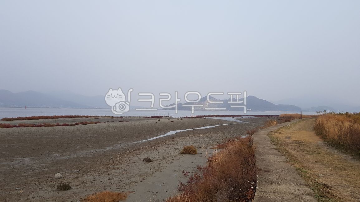 headland,halophyte,island,foreshore,Ganghwa Island