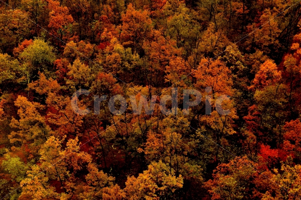 가을,단풍,산,여행,등산,가을,계절,fall,autumn,season,자연,풍경,nature,landscape,tree,나무,plant,식물,maple,leaf,잎