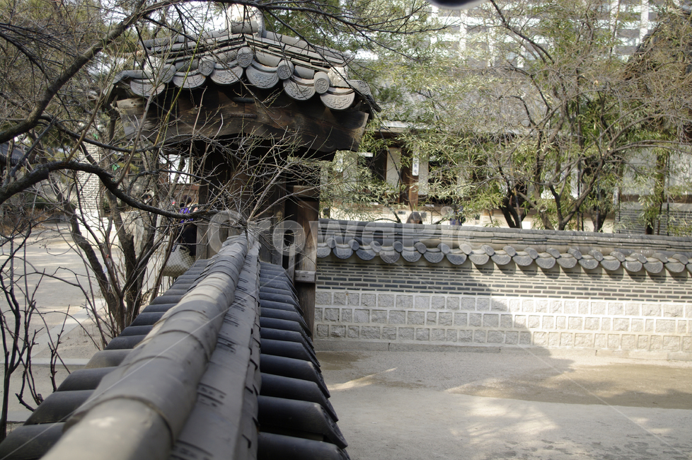 전통,tradition,기와,담장,담,한국전통,한국문화,korean traditional,korean culture