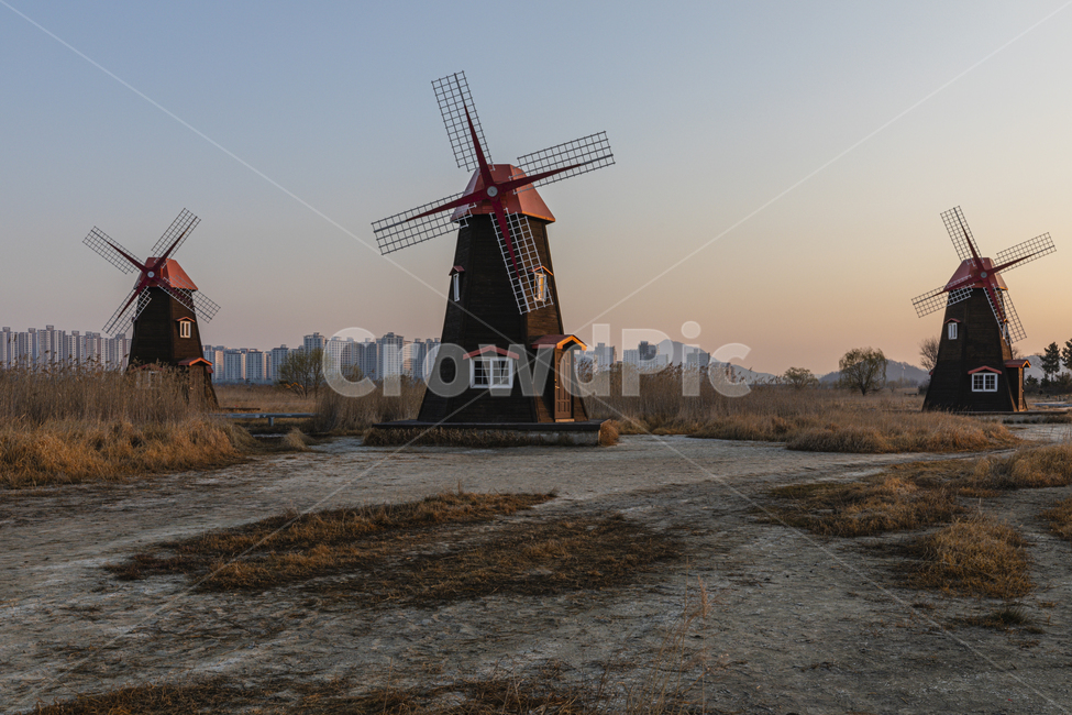 일출,생태공원,풍차,하늘,갈대,공원,sunrise,wind,netherlands,nature,windmill,sky,reed