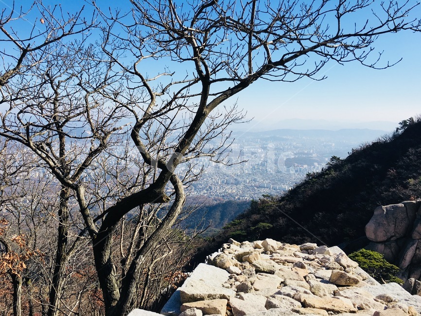 나무,북한산,바위,하늘,풍경