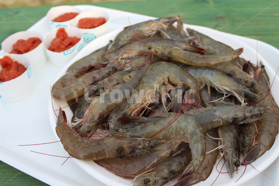 대하,여러마리,해산물,수염,새우,음식,식재료,요리,food,cook,meal,dishes,food reserves,수산물,해산물,fishery products,seafood