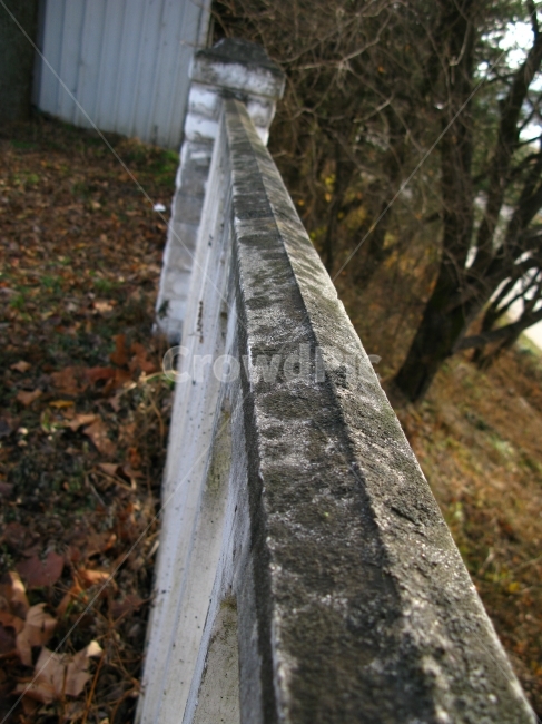 벽,오래된,나무,낙엽,가을,건축물,건물외관,exterior,building,structure,architecture,construction