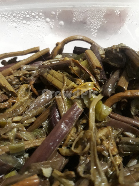 반찬,밑반찬,반찬거리,반찬요리,밥반찬,점심반찬,도시락반찬,반찬용,사이드디시,도시락용반찬,소풍반찬