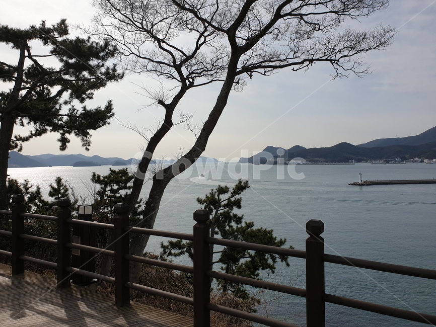 바다,강,호수,나무,전경,sea,river,lake,tree