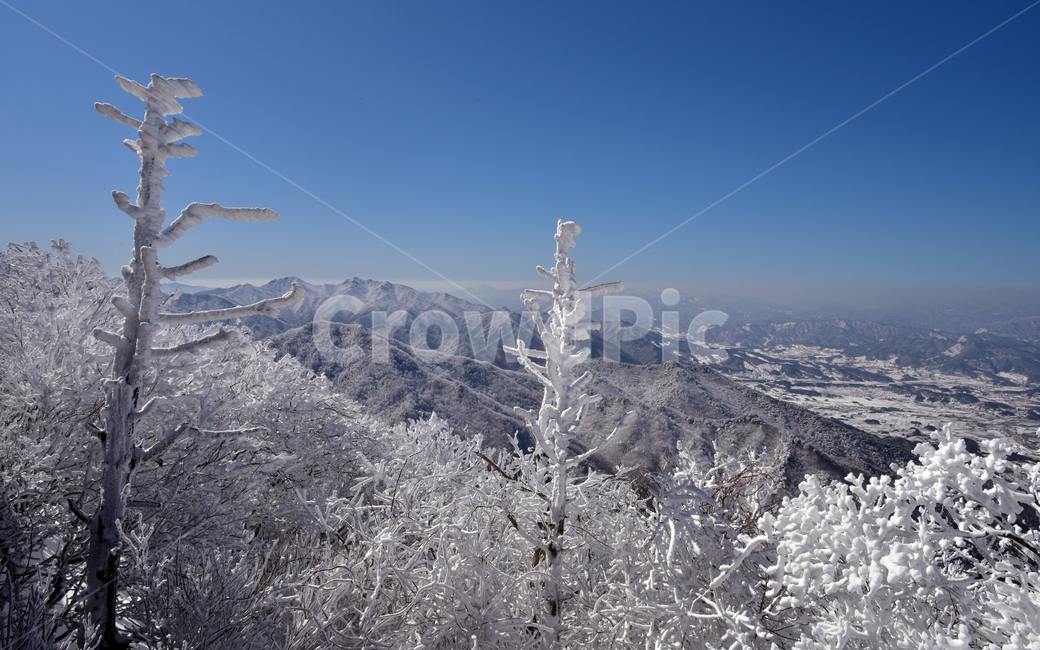 nature,자연,눈,누꽃,겨울,덕유산,snow,winter,snowflower,겨울,계절,winter,season