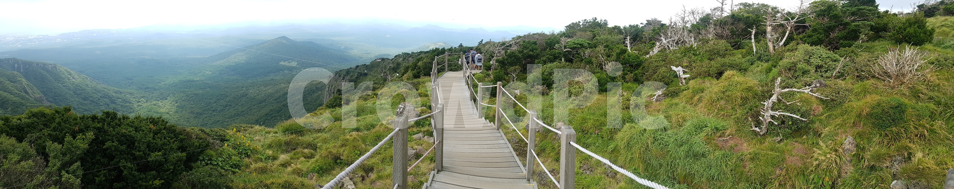 자연,나무,제주도,한라산,영실,풍경,숲,돌,자갈,바위,야외,들판,언덕,시야,view,hill,sky,협곡,능선,날씨,하늘,구름,등산,산책,다리,길,도로,식물,공간,자연풍경,정상,초록,잔디,green,흙,안개,자연,풍경,nature,landscape,bridge,boardwalk,산책로,building,건물,banister,난간,handrail,railing