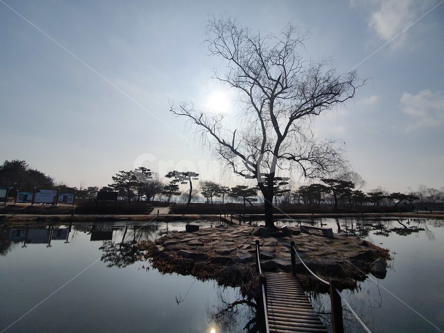 고독,몽환적,신비감,자연의신비,아름다움,자연,풍경,nature,landscape
