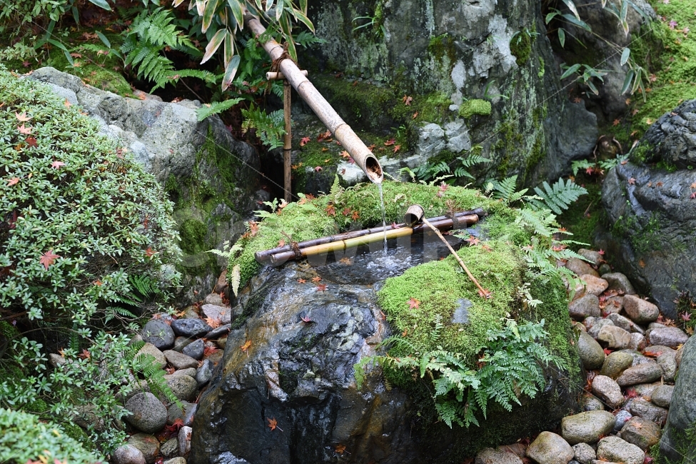 Japan travel,Japans largest garden,Adachi Art Museum,japan,Tottori Prefecture,japanese garden,Tottori Prefecture Travel