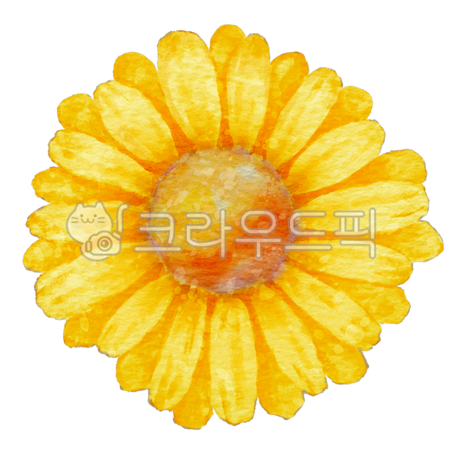 flower painting,flowering,flower,dandelion,spring flowers,spring,Chrysanthemum,flower illustration,plant,wild flowers,daisy,Watercolor,dandelion flower