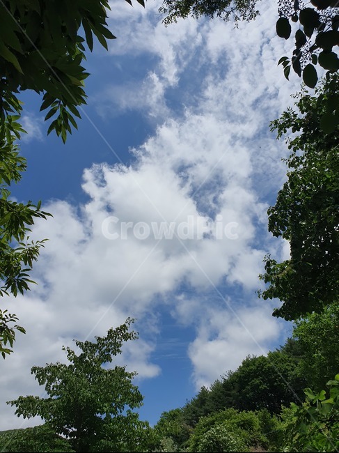 하늘,구름,sky,skyphoto,cloud,clouds,풍경,파란하늘,예쁜하늘,skypicture,landscape