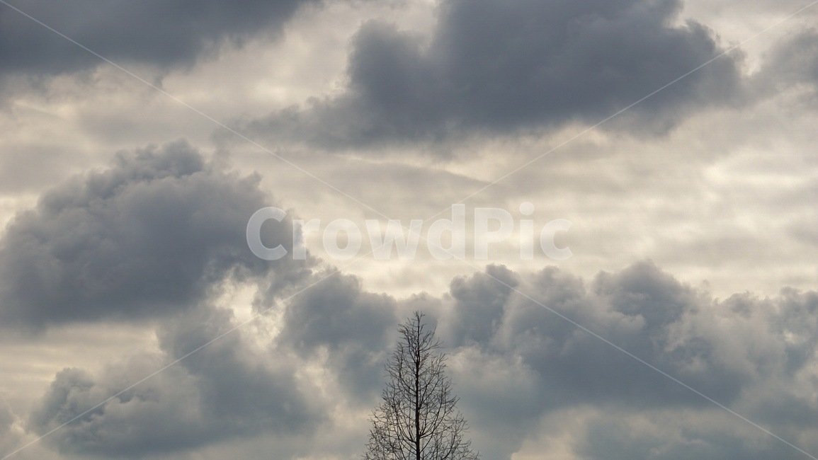 하늘,구름,나무,풍경,노을,감성,landscape,nature,sky,cloud,tree,sunset
