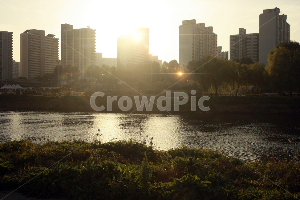 풍경,도시,해질녘,일몰,석양,저녁,서울,sunset,태양,노을,city,강,안양천,반사,아파트,자연,건물,도시,풍경,city,landscape,한국도시풍경,한국도시경관,korea cityscape,flare,플레어,light,빛,sunlight,햇빛