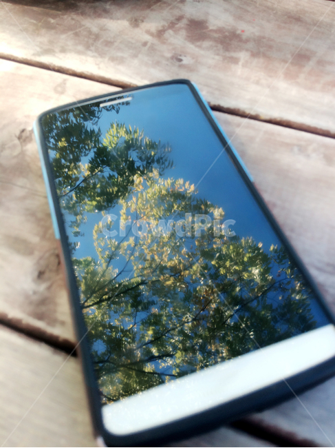 phone,거울반사,휴대전화,거울속나무,나무