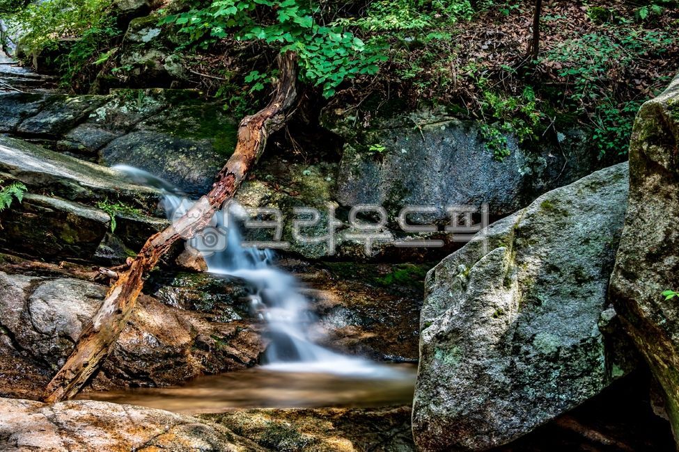 수락산,수락산계곡,석림사계곡,mountain,suraksan,자연,nature,풍경,landscape,경치,view,scenery,scene,water,물,valley,폭포,falls,waterfall,옥외,아웃도어,outdoors,바위,암석,장노출,나무,wood,tree,여름,summer