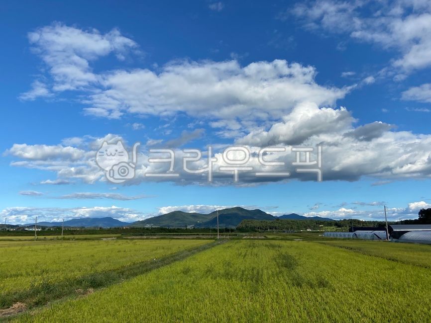 nature, 자연, field, 들판, 푸른하늘, 사진,이미지,일러스트,캘리그라피 - Ncocosmi작가
