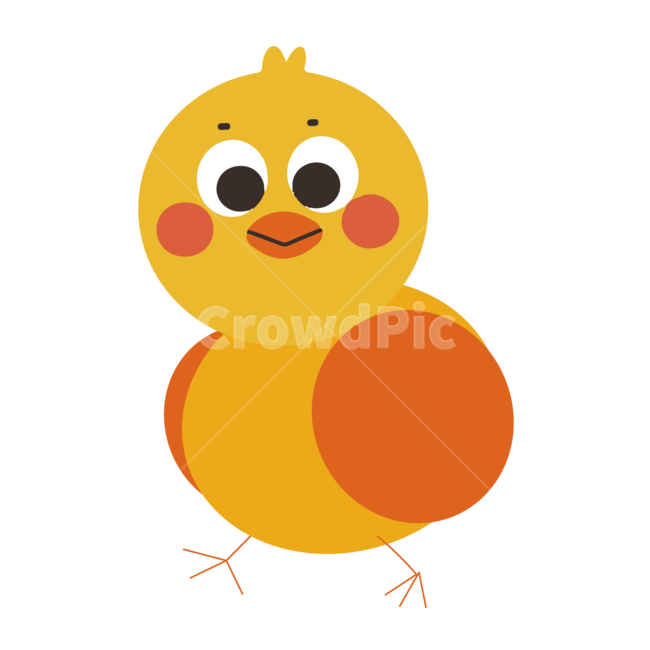 동물,병아리,새,chick,새끼새,아기새,동물캐릭터,동물일러스트,cute,아기동물,새끼동물,귀여움,귀여운,사랑스러운,아기,노란색,동물,animal,누끼,remove background,그래픽,일러스트레이션,graphic,illustration