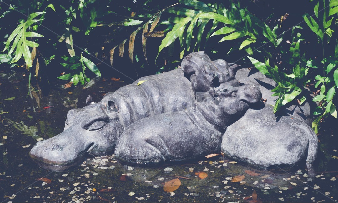 하마,자연,동물원,잠,가족,행복,조각상,동상,석상,조형물,statue,bronze statue,stone statue