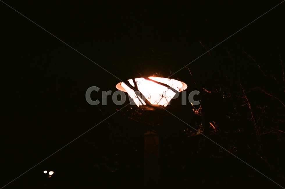 조명,빛,light,lamp,따듯함,밤,어두움,야경,밤,풍경,nightscape,night,landscape,lighting,flare,플레어,fire,불