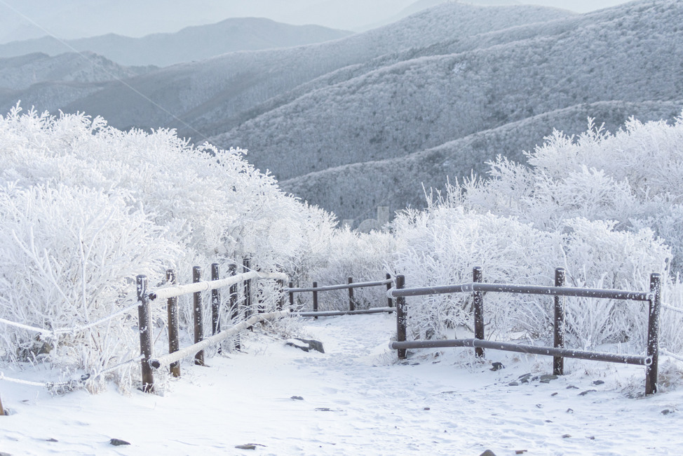 설산,태백산,겨울산,겨울,상고대,풍경,산,겨울풍경,눈꽃,nature,자연,겨울,계절,winter,season,자연,풍경,nature,landscape