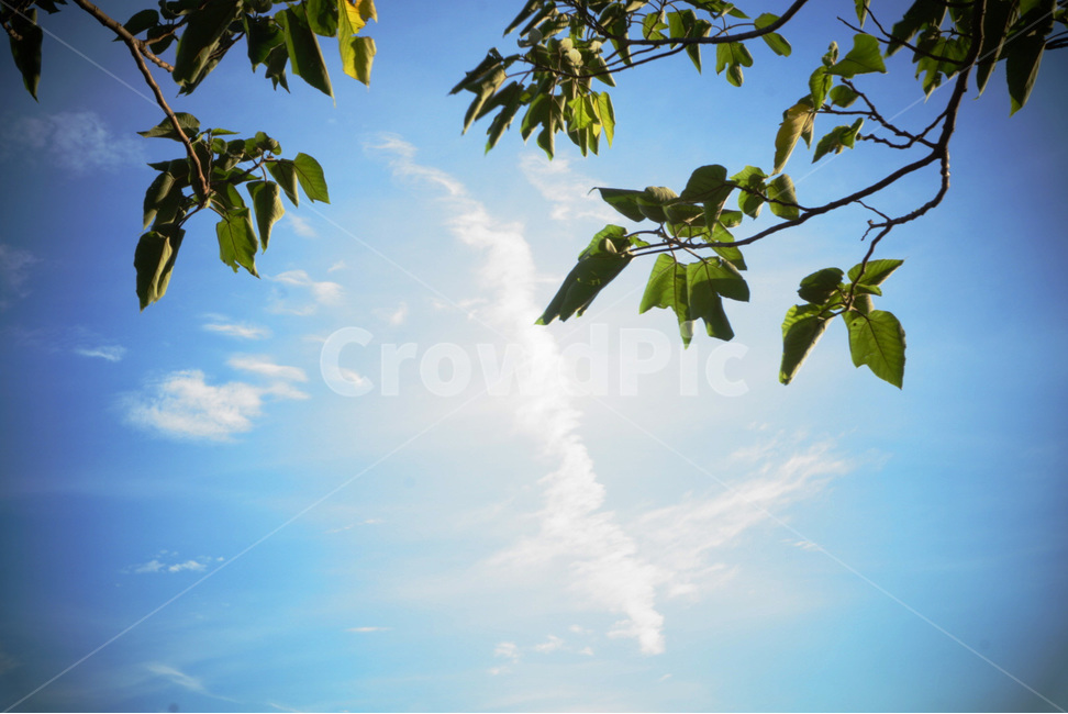 하늘,구름,햇살,풍경,감성,sky,cloud,sunlight,view,emotion,feeling,plants,nature,자연,풍경,nature,landscape,outdoors,옥외