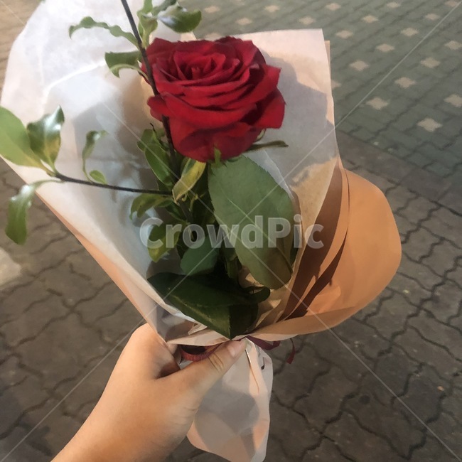 식물,꽃,꽃꽂이,flower,plant,꽃부케,기념일,축하,anniversary,congratulation,celebrate,celebration