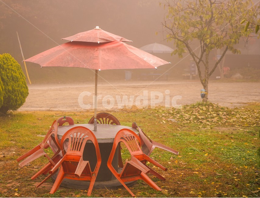 파라솔,의자,탁자,안개,정원,잔디밭,자연,풍경,nature,landscape,chair