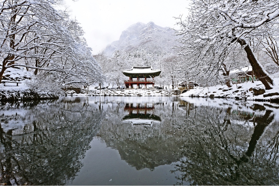 설경,nature,자연,outdoors,옥외,ice,빙,snow,눈,장성백양사,백양사,백양사설경,백양사겨울,백암산,백암산겨울,쌍계루,겨울,계절,winter,season