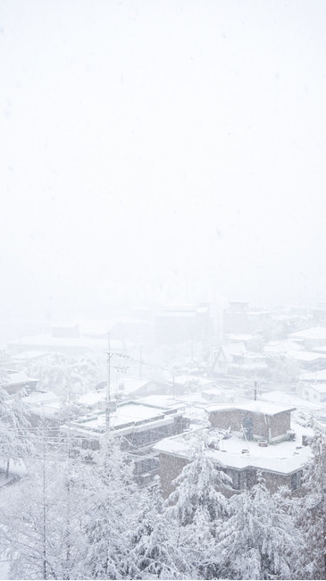 겨울,눈,눈보라,폭풍,자연,snow,winter,storm,nature,koreawinter,blizzard