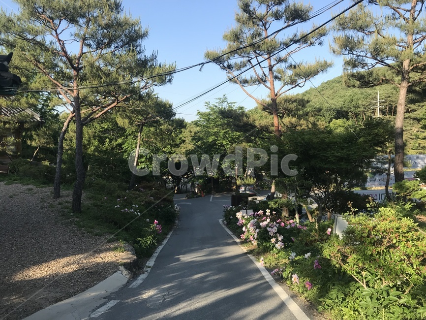 세종시사찰,세종시절,사찰풍경,절,영평사