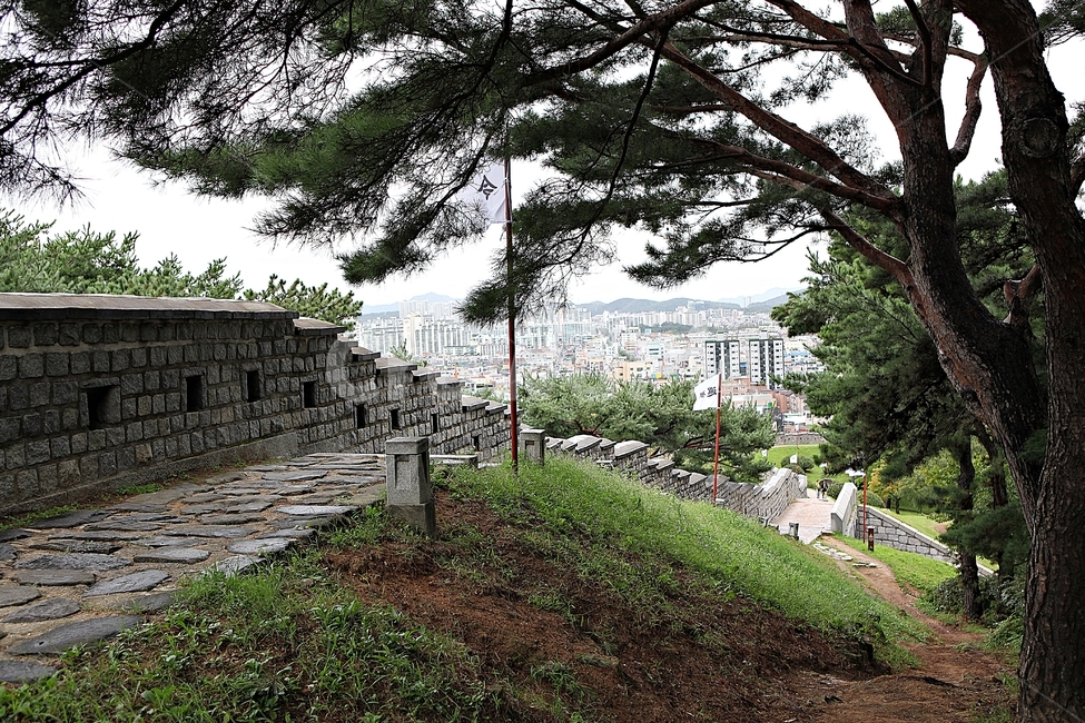 수원화성,성,성곽,길,둘레길,담,돌담,가을,자연,풍경,벽,방어벽,전통,흙담,식물,한국전통,한국문화,korean traditional,korean culture