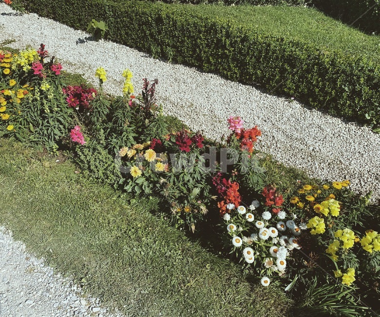 꽃,식물,필름,화단,길