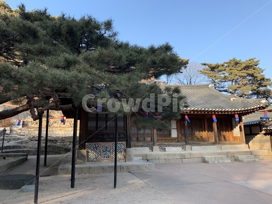 전통가옥,전통,풍경,기와,정원,한국전통,한국문화,korean traditional,korean culture,건축물,건물외관,exterior,building,structure,architecture,construction