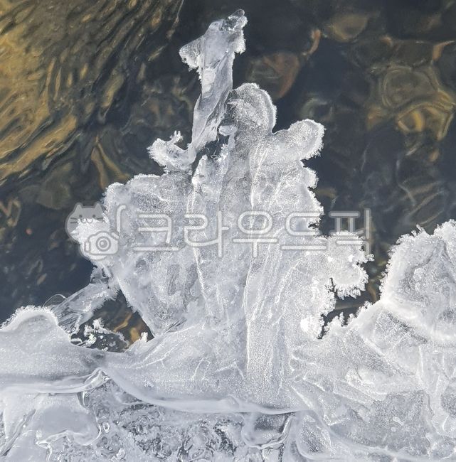 ice,얼음,하얀얼음,얼음꽃,하얀얼음꽃