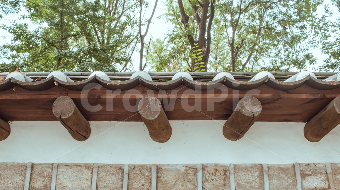 서울,덕수궁,돌담길,나무,기와,한국적,담,건축물,건물외관,exterior,building,structure,architecture,construction,한국전통,한국문화,korean traditional,korean culture