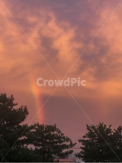 노을,해질녘,무지개,하늘,석양,sunset,rainbow,붉은,붉은하늘,소나무,풍경,저녁,선셋,주황색,감성,구름,신비로운