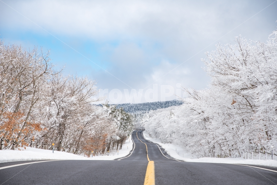 winter photo,sight,winter,winter landscape,pretty road