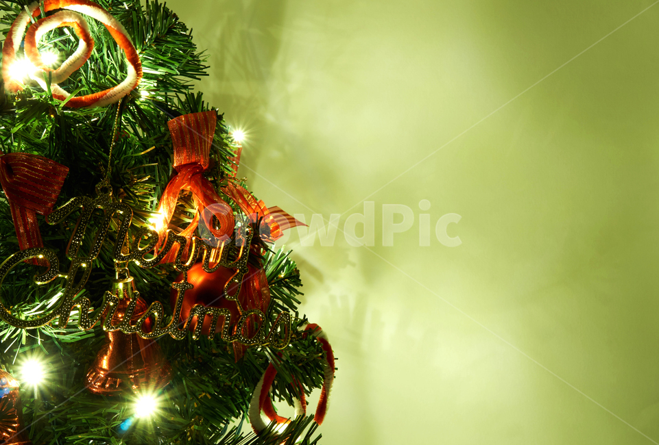 크리스마스,장식,트리,조명,성탄절,나무,겨울,휴일,우아한,축하,12월,빛나는,축제,christmas,tree,background,decoration,holiday,design,winter,new,year,겨울,계절,winter,season,야경,밤,풍경,nightscape,night,landscape,메리크리스마스,성탄절,merry christmas,christmas tree,크리스마스 트리,plant,식물,ornament