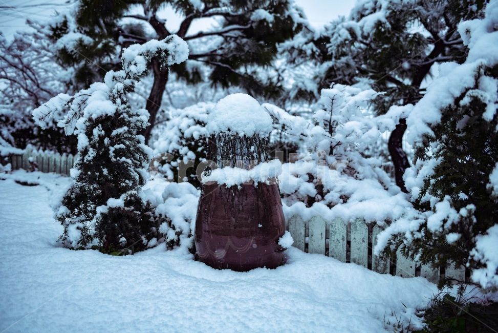 정원,항아리,스냅,풍경,눈,겨울,계절,winter,season,한국전통,한국문화,korean traditional,korean culture,사물,물건,오브젝트,thing,object,matter