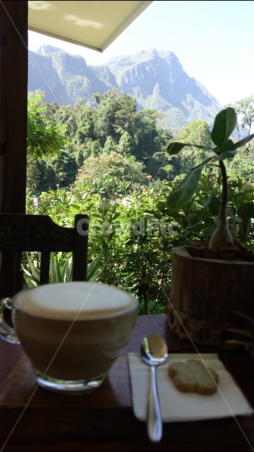outdoor,야외,풍경,커피,쿠키,cookie,coffee