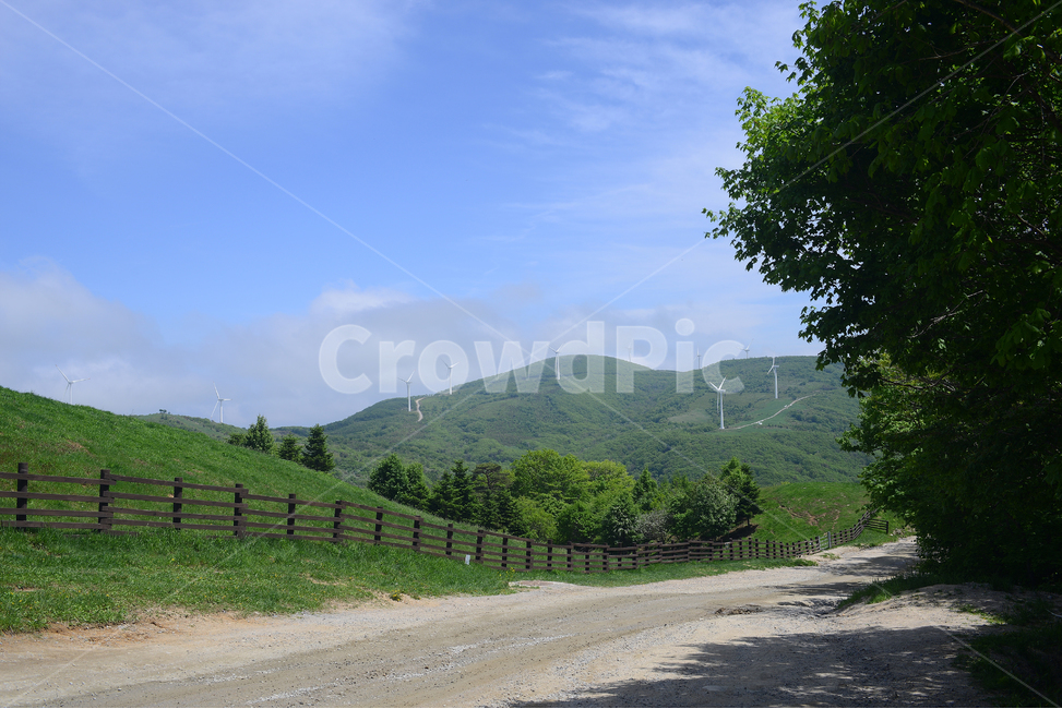 자연,풍경,하늘,구름,목장,초록,하양,nature,landscape,sky,green,korea,길,road,자연,풍경,nature,landscape,도로,dirt road,흙길,gravel,자갈,outdoors,옥외