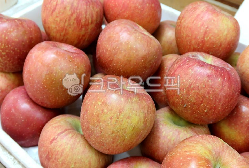 감홍사과,사과,과실,수확,싱싱한,과일,음식,식재료,요리,먹거리,가을,추수,계절,열매,식물,부사,persimmonapple,apple,fresh,ingredients,cooking,food,fall,harvest,season,fruit,plant,adverb,시장,청과시장,청과물시장,진열대,adisplaycase,market,fruitmarket,displaycase,과일,열매,fruit