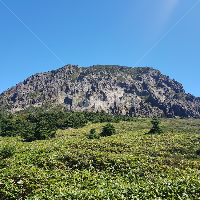 nature,자연,언덕,hill,제주도,영실코스