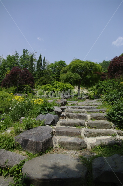 초록,나무,잎,식물,plant,계절,봄,spring,하늘,풍경,돌계단,자연,풍경,nature,landscape,walkway,보도,path,통로,flagstone,판석,slate,슬레이트