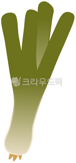 파, 대파, 쪽파, 채소, 야채, 사진,이미지,일러스트,캘리그라피 - 다블리이모작가