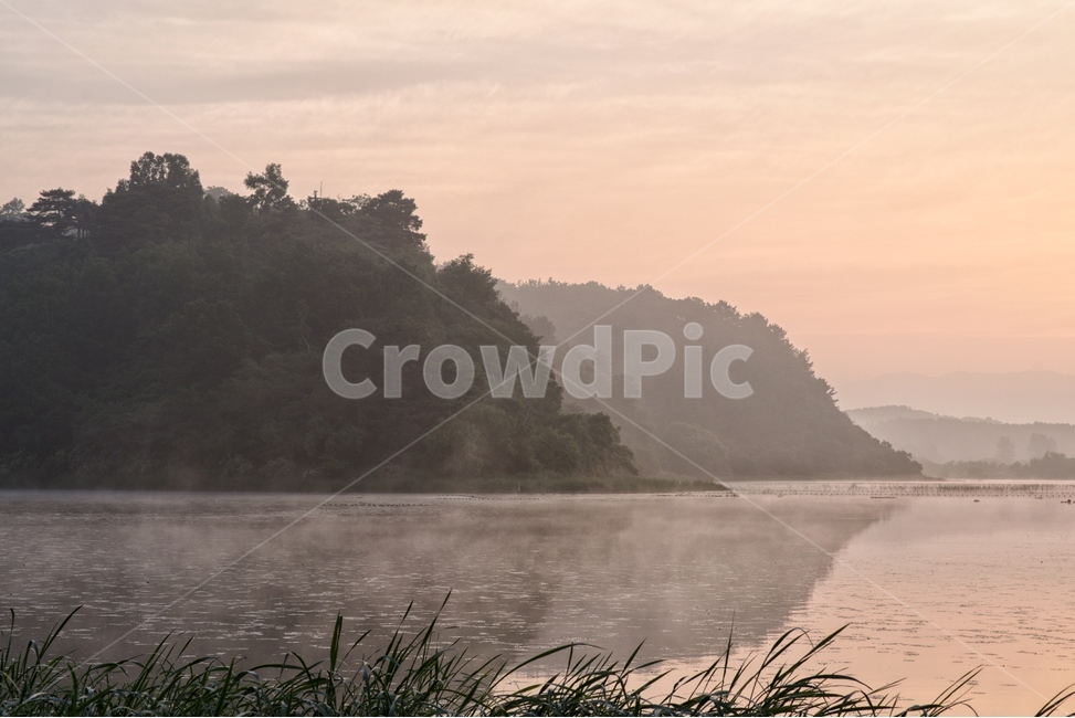물안개,새벽,늪,일출,자연,풍경,몽환,자연,풍경,nature,landscape,한국자연풍경,한국자연경관,korea nature landscape,outdoors,옥외,water,물,land,땅