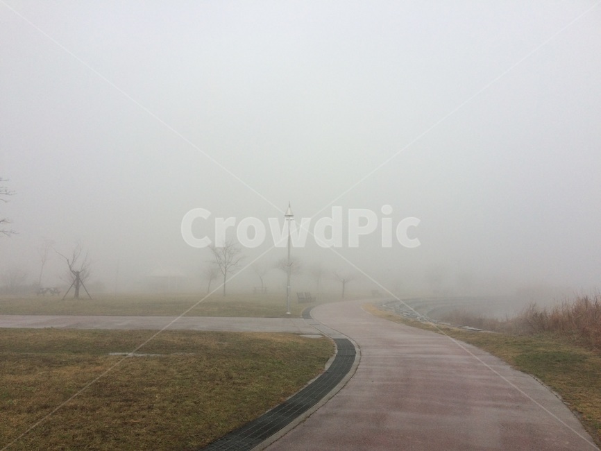 하늘,갈대,가을,감성사진,강,물,안개,길,자연,풍경,nature,landscape,weather,날씨,outdoors,옥외,fog,mist