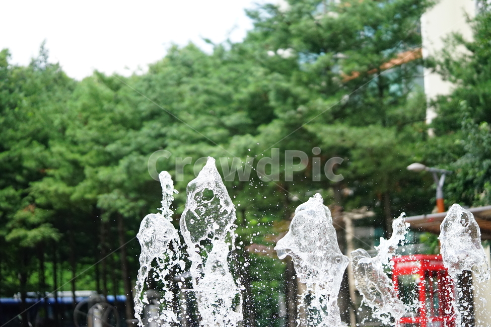 분수,물,물줄기,여름,계절,water,순간,순간포착,더위,summer,여름,계절,summer,season,fountain